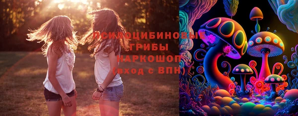 индика Баксан