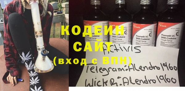 индика Баксан