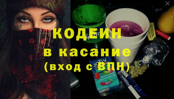 индика Баксан