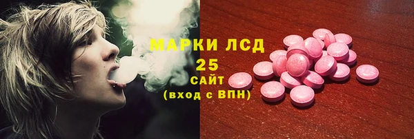 индика Баксан