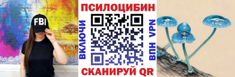 Псилоцибиновые грибы Psilocybine cubensis  Белоозёрский 